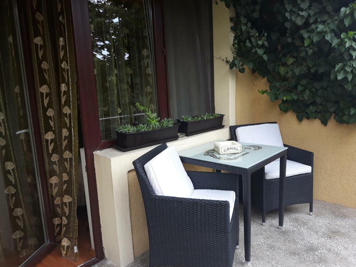 Pensiunea Sydney Тимишоара Экстерьер фото